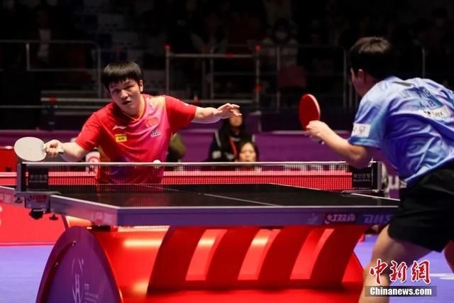 包含法国乒乓球队逆转比利时乒乓球队，樊振东关键制胜的词条