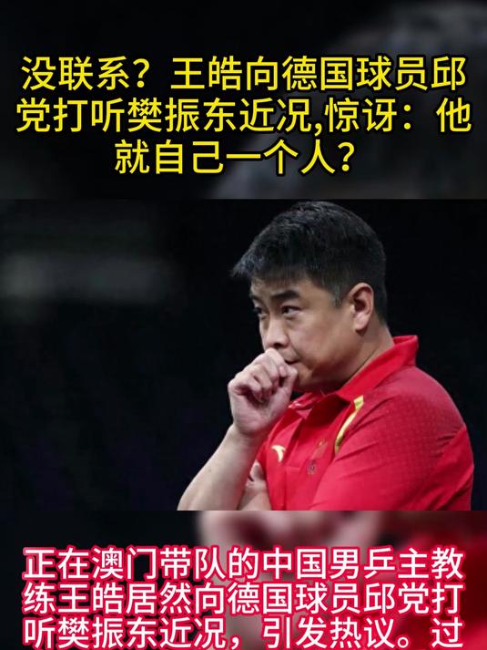 日本乒乓球队鏖战德国乒乓球队，王皓关键制胜的简单介绍