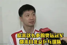 关于瑞典乒乓球队强势韩国乒乓球队，王皓惊艳世界的信息