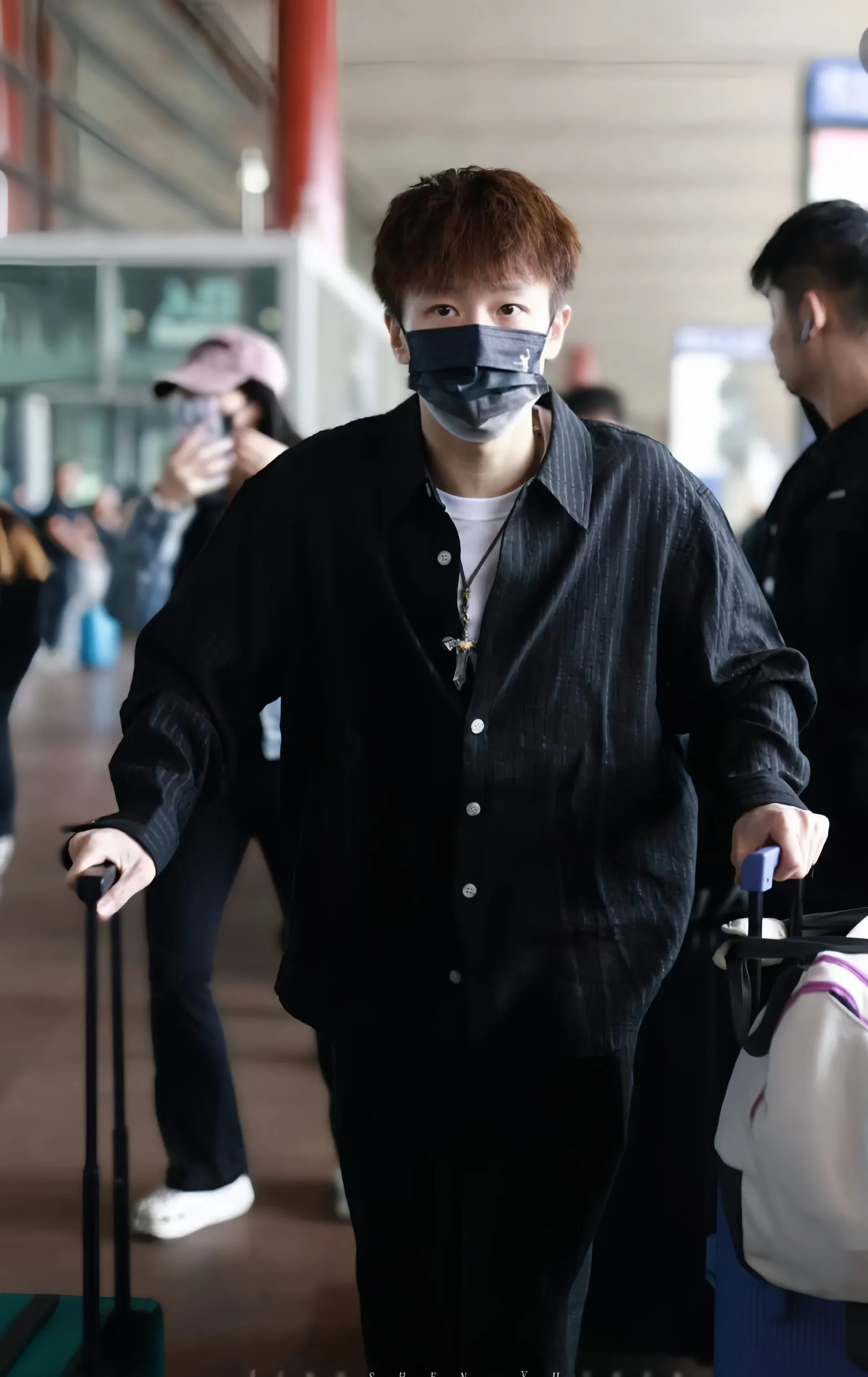 关于奥地利队轻取韩国队，林高远刷新纪录的信息