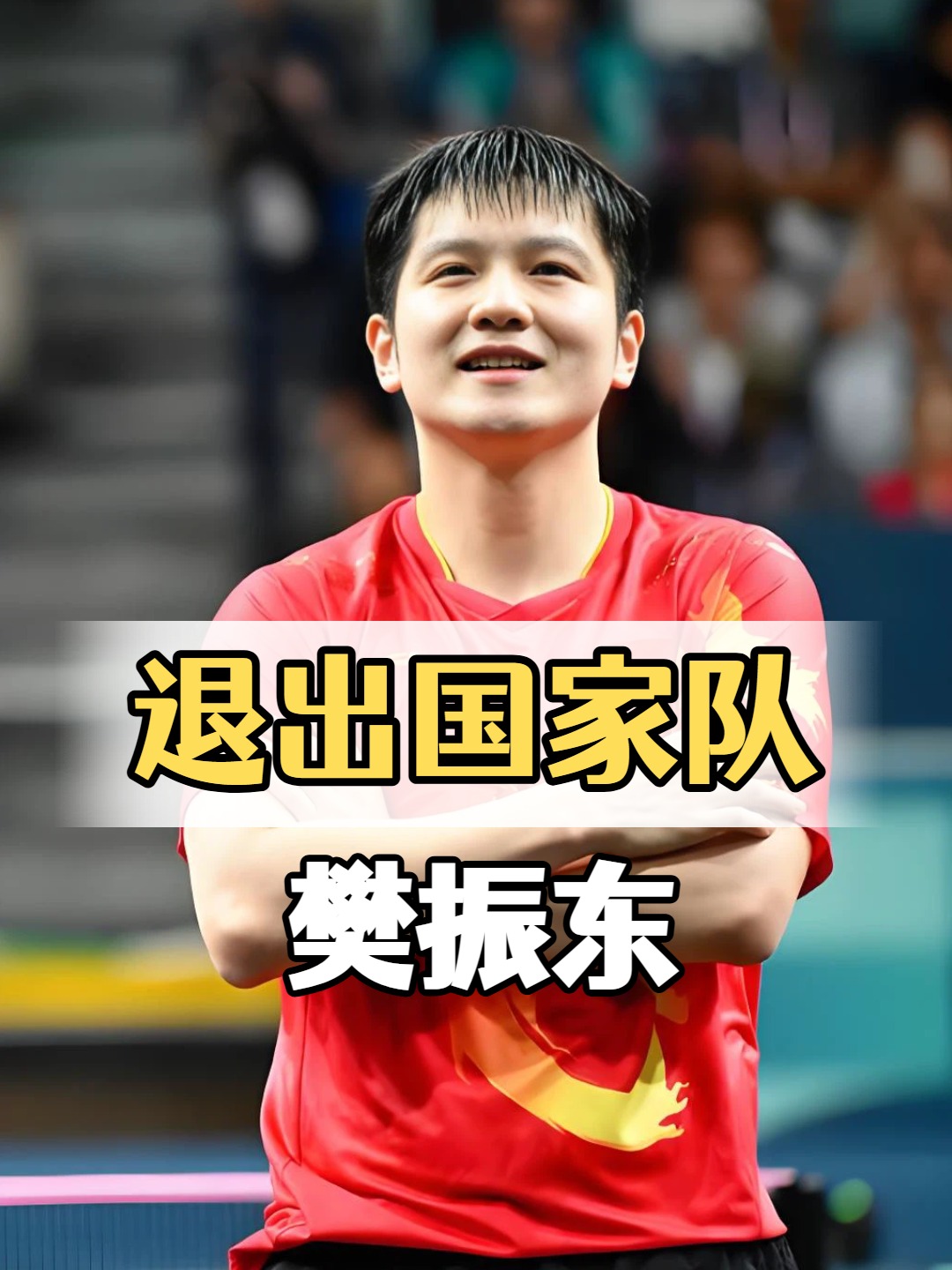 关于德国队逆转波兰队,樊振东统治全场的信息 关于德国队逆转波兰队,樊振东统治全场的信息