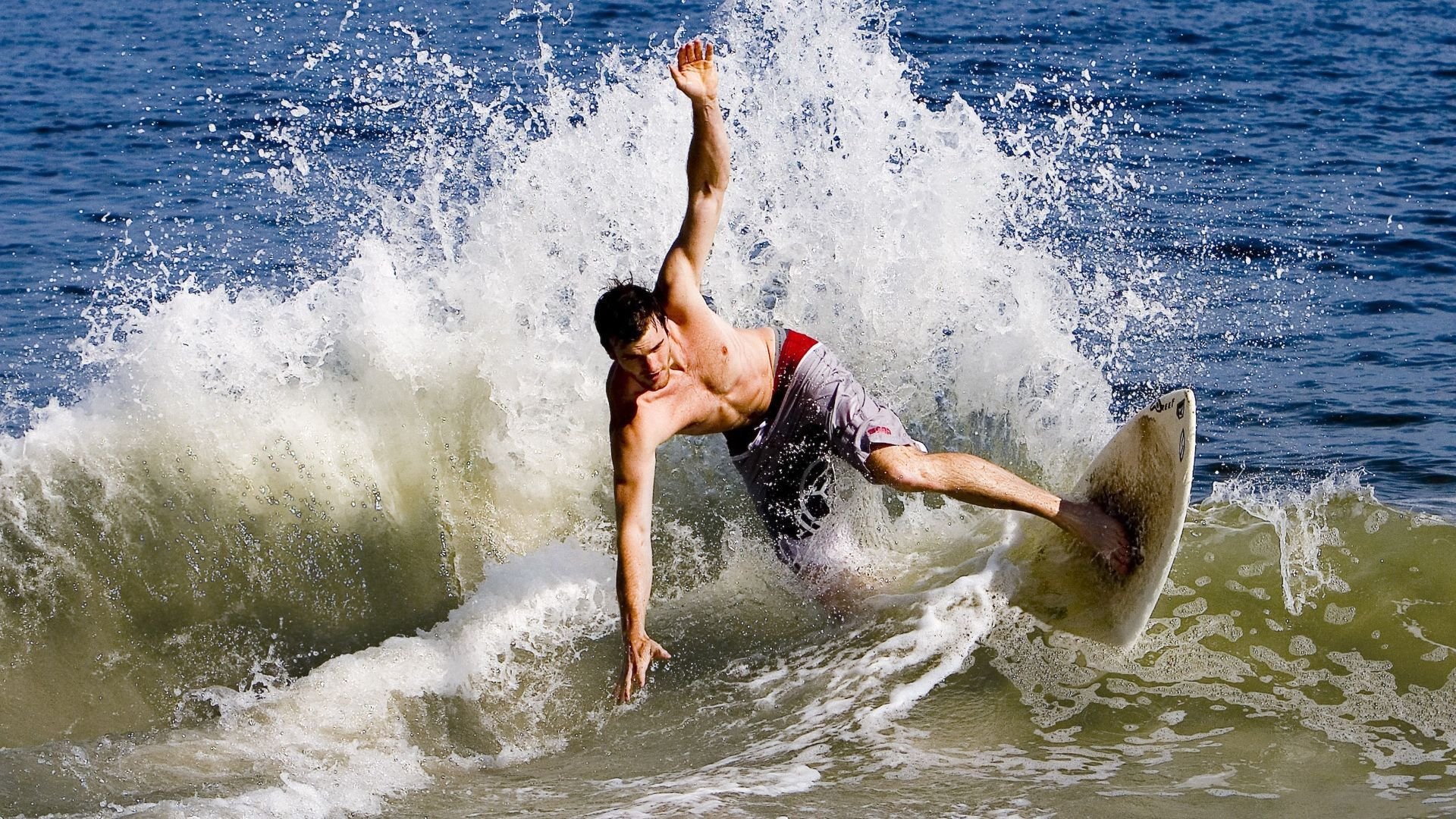 冰与火之歌，当夏洛特黄蜂飞越天山之巅